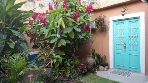Eco Olinda B&B