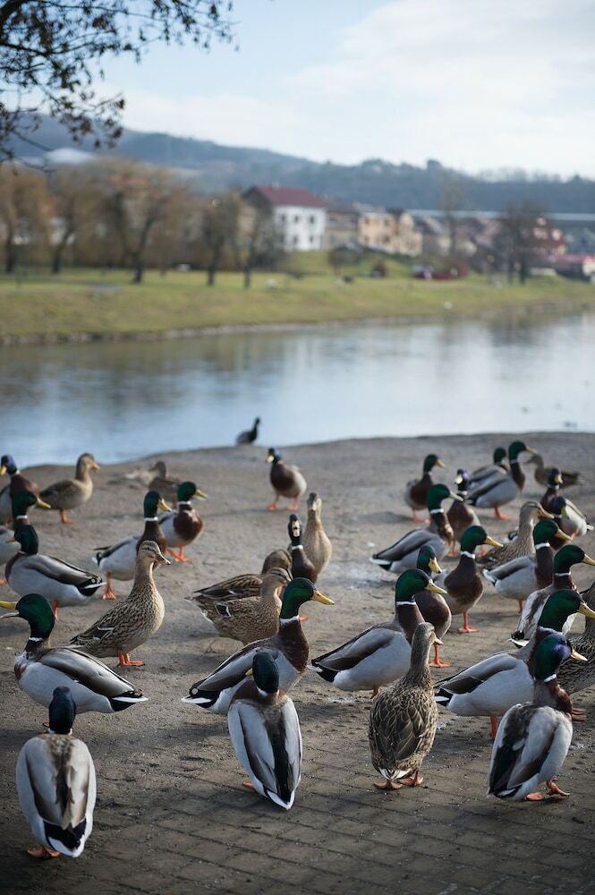 Hotel Grand Litava Beroun