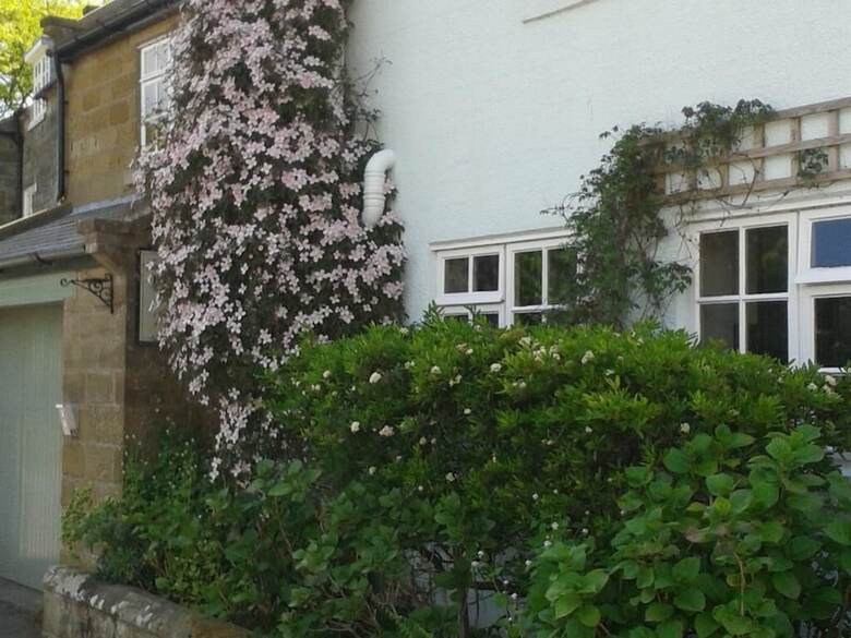 Bed & Breakfast Thorpe Green House