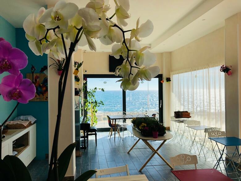 Salento Palace Bed & Breakfast