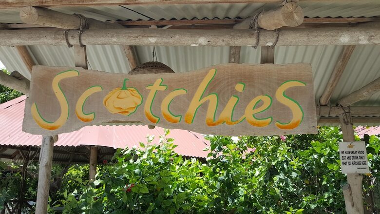 Ocho Rios Villa At Coolshade III