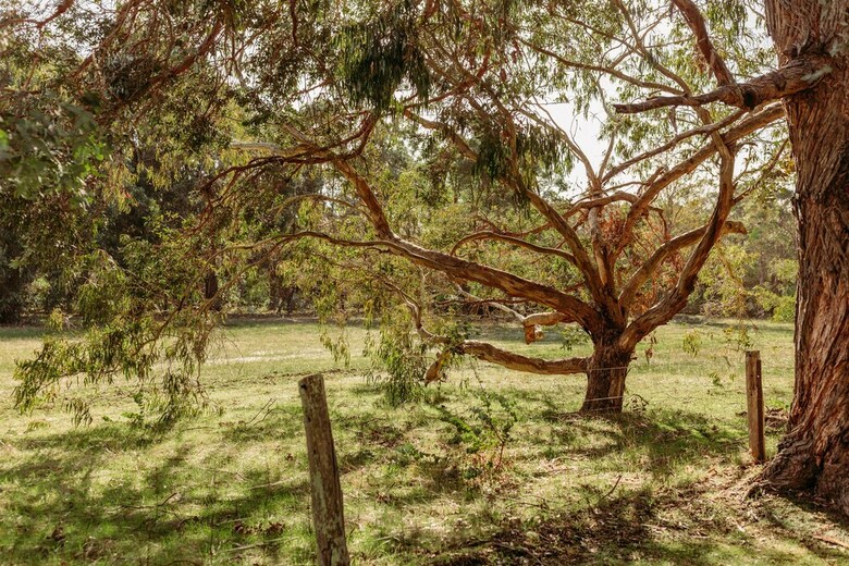 Margaret River Holiday Cottages
