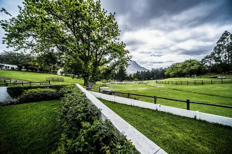 High Season Farm