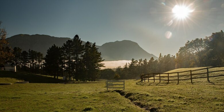 High Season Farm