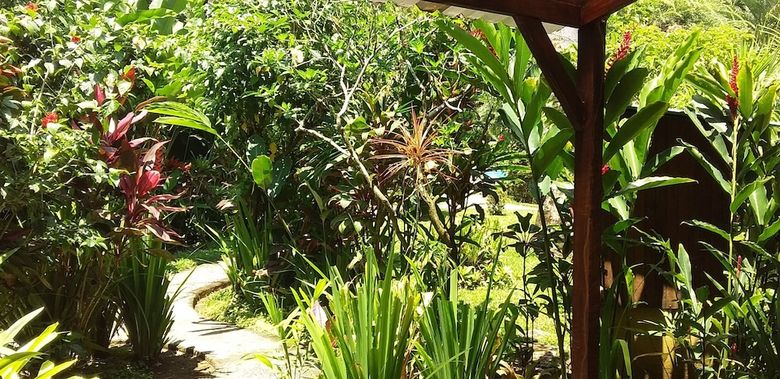 Hotel Playa Negra Guesthouse