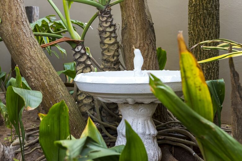 Bed & Breakfast Kingfisher Guesthouse