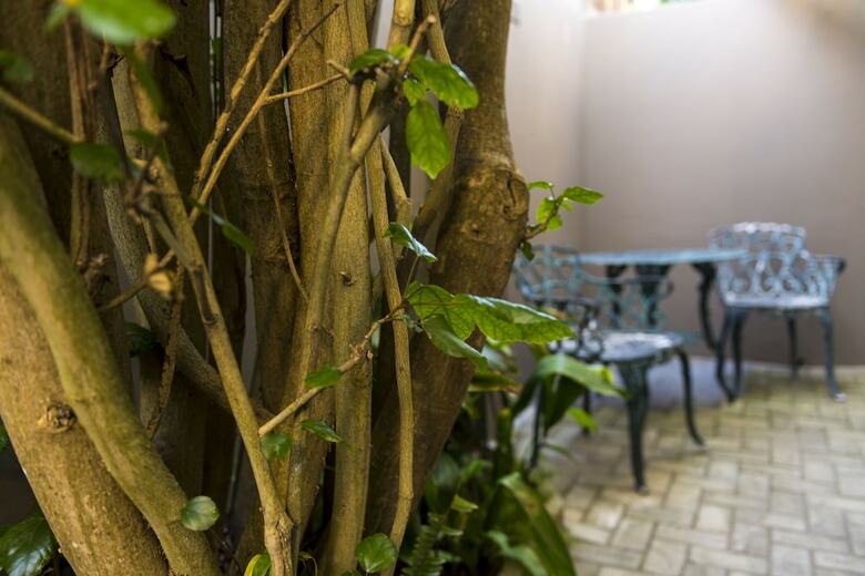 Bed & Breakfast Kingfisher Guesthouse