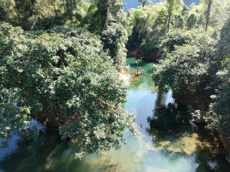 Hotel Springriver Resort