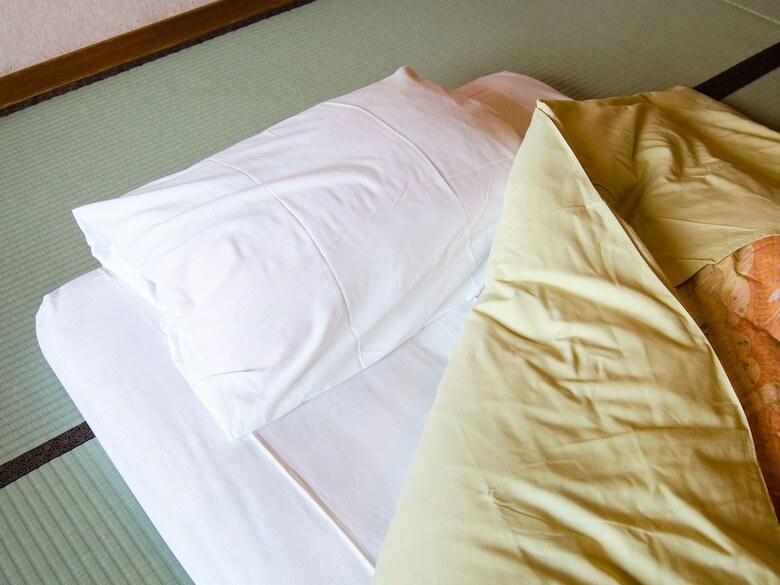 Hotel Musashiya