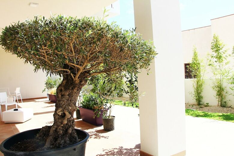 Hotel Resort Il Mulino