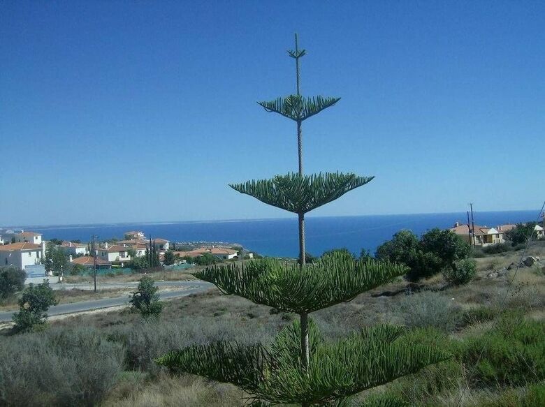 Kapsalia Holiday Villas