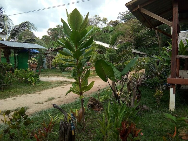 Hotel Klong Khong Garden