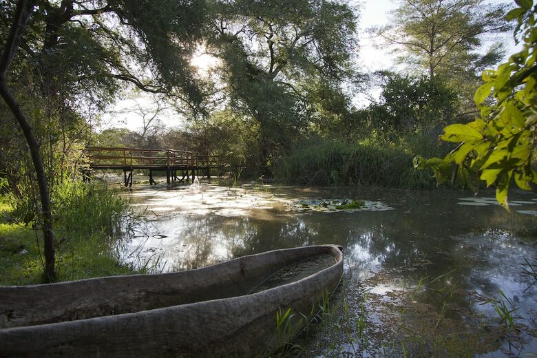 Posada Camp Nkwazi