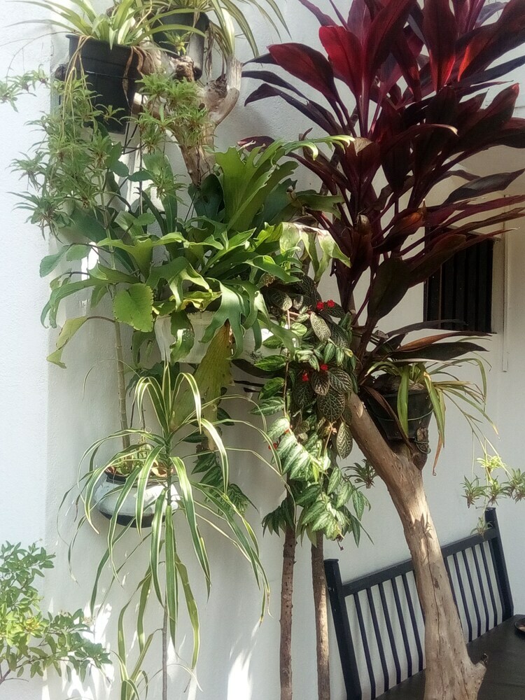 Hotel Goalma Holiday Resort