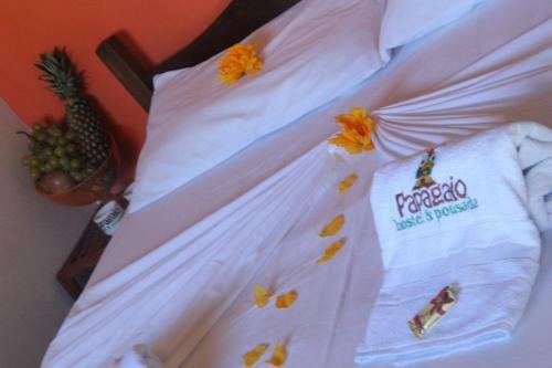 Papagaio Hostel & Pousada