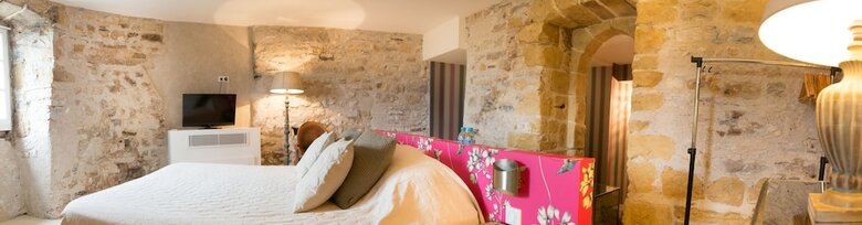 Hotel H�tel Des Basses Pyr�n�es