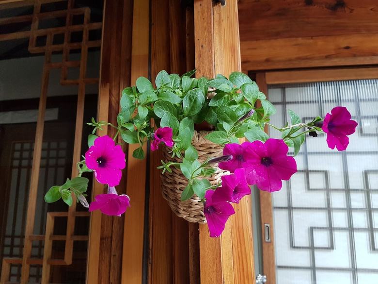 Hotel Dajayon Guest House
