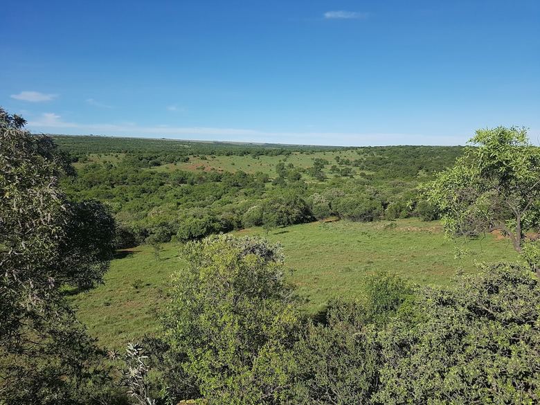 Posada Kareekloof Game Farm