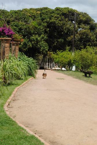 Posada Pousada Fazenda Fiore