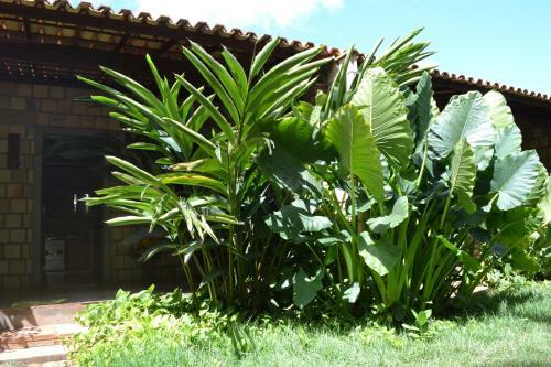 Hostal Recanto Do Rei Chal�s