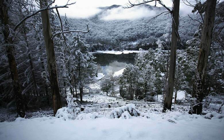 Bogong Village