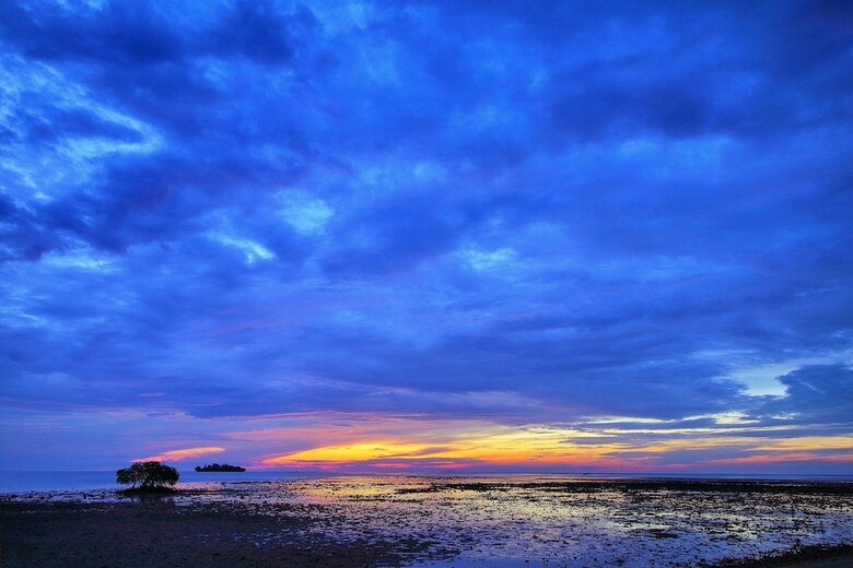 Walai Penyu Resort - Campground