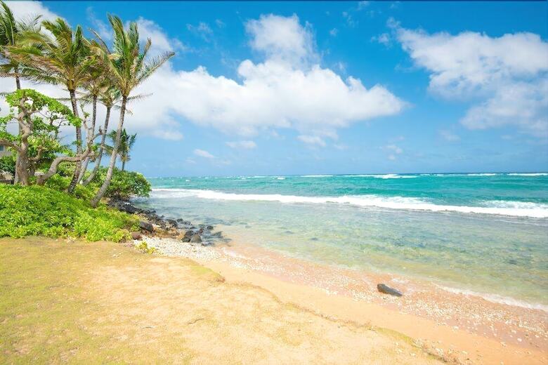 Kapaa Shore 117 By Redawning