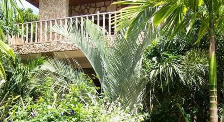 Hotel Tara Lodge