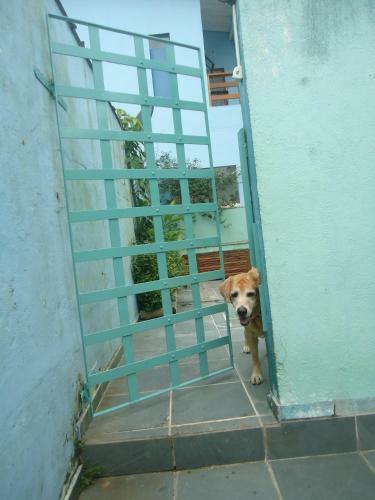 Hostal Pousada Recanto Das Tartarugas