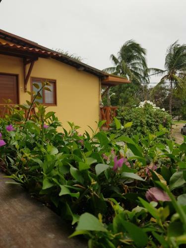 Hostal Paranambuca Pousada