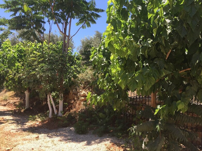 Hotel Olympos Mocamp Kas