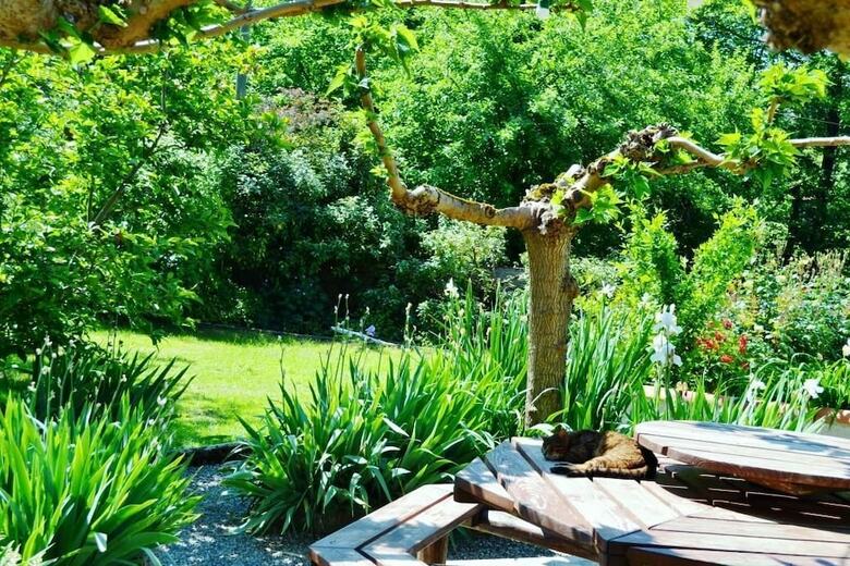 Bed & Breakfast Maison Esmeralda