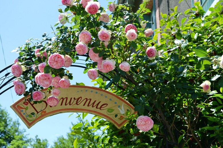 Bed & Breakfast Maison Esmeralda