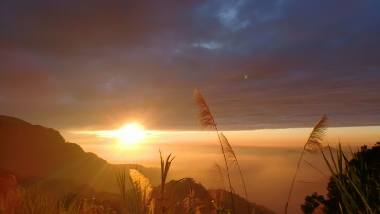 Hotel Alishan Tea Homestay