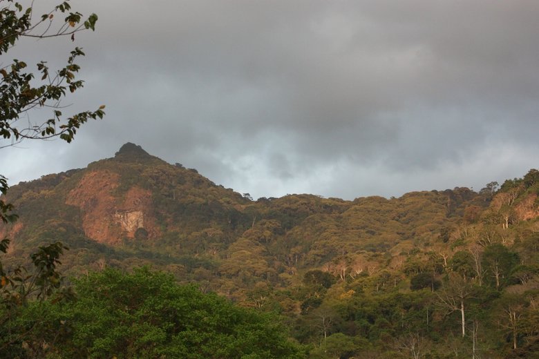 Udzungwa Forest Camp