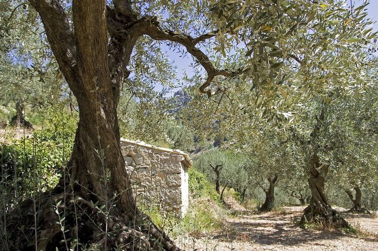 Apartamento Le Clo�tre Des Dominicains