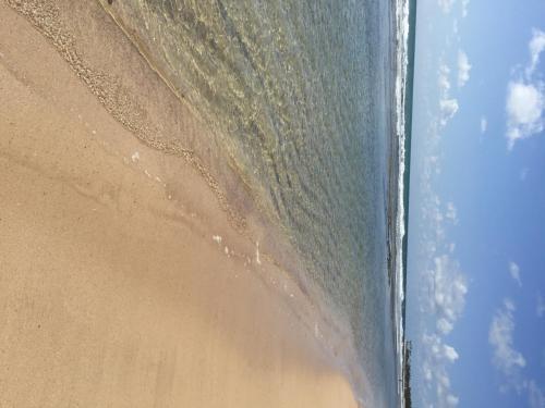 Apartamento Flats Porto Beach