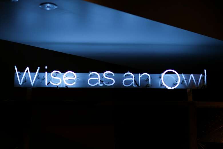 Hostal Wise Owl Hostels Tokyo