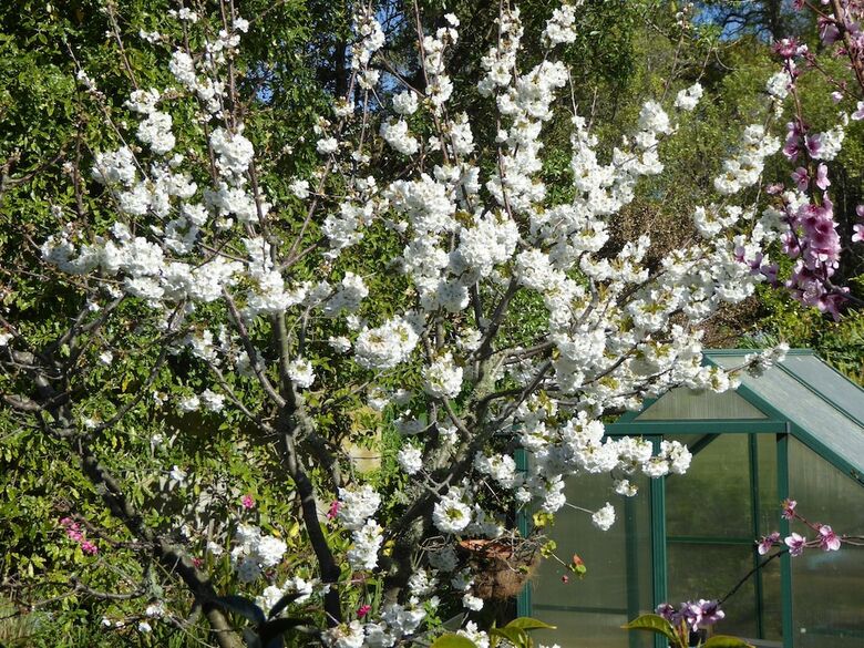 Hazelwood Mapua Bed And Breakfast
