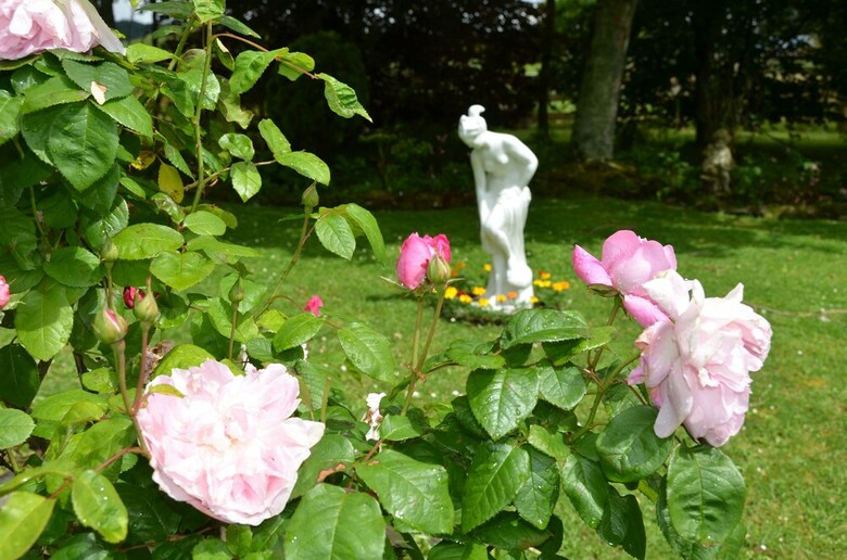 Bed & Breakfast Country Villa Estate