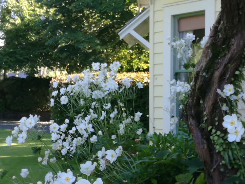Bed & Breakfast Country Villa Estate