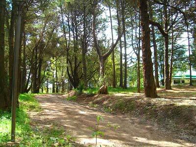 Lodge Huerta Grande Caba�as