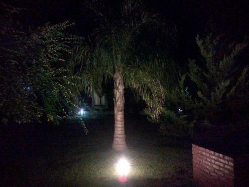 Lodge Caba�as Los Girasoles