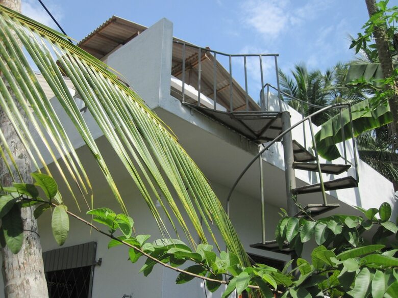 Hotel Jungleside House