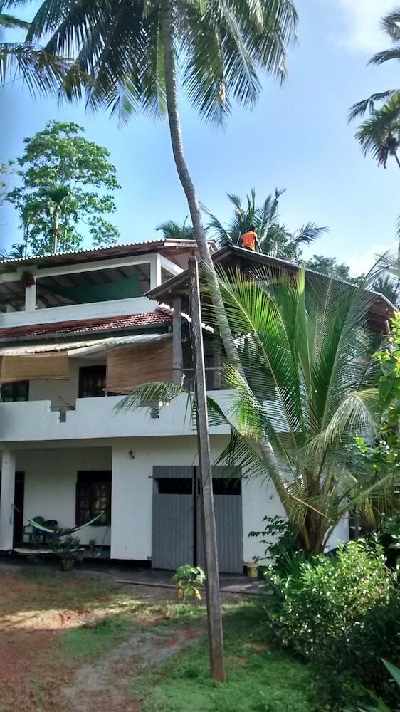 Hotel Jungleside House