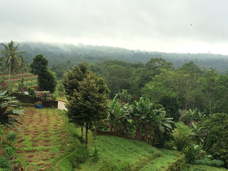 Pacung Indah Hotel And Restaurant