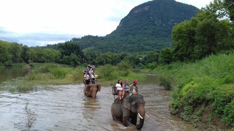Hotel Mahout Resort