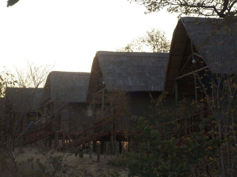 Posada Lion Roars Lodge