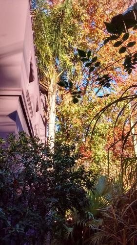 Bed & Breakfast La Casona De Grace