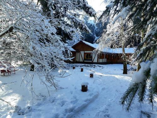 Lodge Caba�a Cumelen